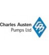 Charles Austen Pumps